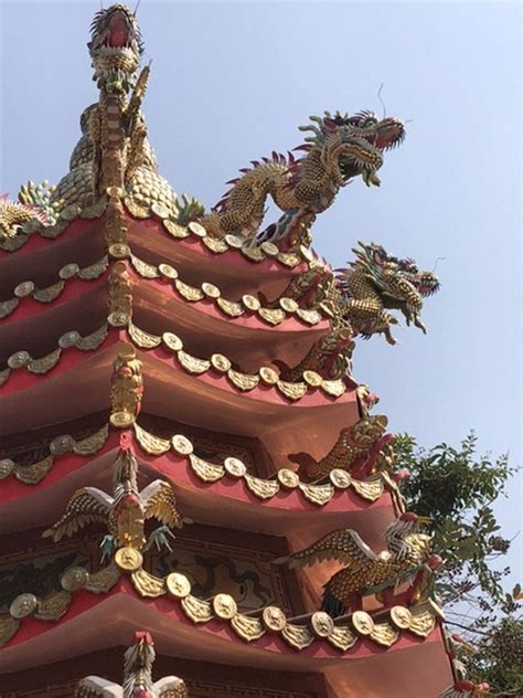 Chinese Temple Dragons Photo