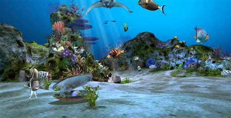 The Real Aquarium Live Wallpaper Aquarium Hd Wallpaper For Pc