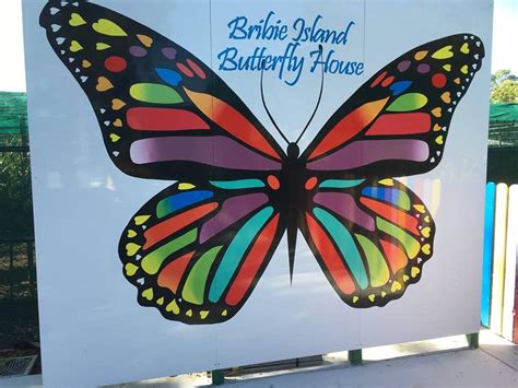Review Bribie Island Butterfly House For Families Families Magazine