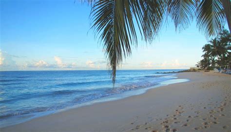Barbados Beaches Turtle Beach