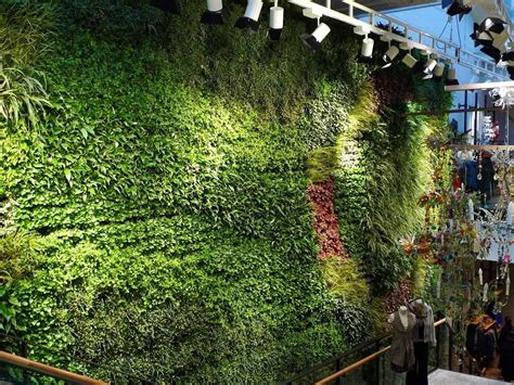 You Think Living Walls Are Cool So Why Would You Want To Go Through