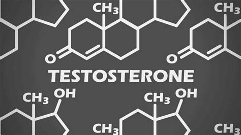 Home Testosterone Test How To Measure Testosterone Levels At Home
