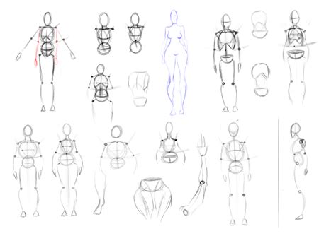 Bodyproportions Practice Joshs Animation Journey