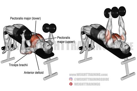 Decline Hammer Grip Dumbbell Bench Press Instructions And Video