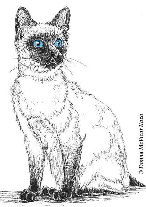 This Item Is Unavailable Etsy Siamese Cats Cat Art Cat Drawing