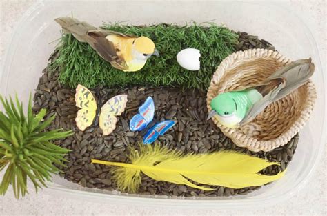 Check spelling or type a new query. Birds & Butterflies Nature Preschool Sensory Bin Idea