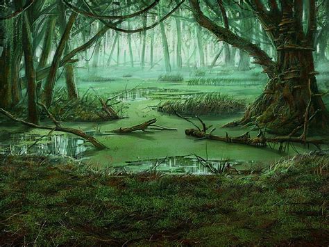 Wetland Swamp Cartoon Annunci Tx Udine