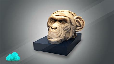 Artistic Monkey Head Sculpture 3d Print 3d Model 3d Printable Stl