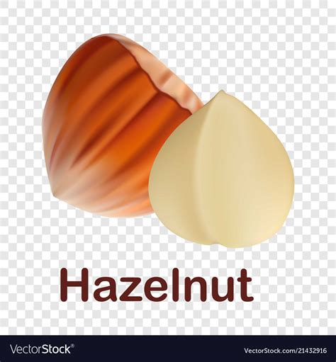 Hazelnut Icon Realistic Style Royalty Free Vector Image