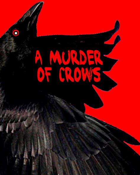 A Murder Of Crows Photograph By Bruce Iorio