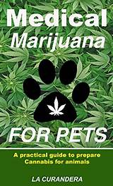 Medical Marijuana For Pets