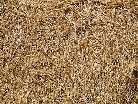Free 15 Straw And Hay Texture Designs In Psd Vector Eps