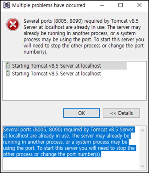 Jsp Eclipse Tomcat Error Several Ports 8005 8080 Required By