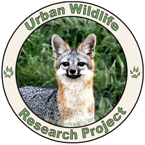 About Us Urban Wildlife Research Project