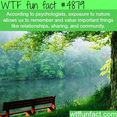 Nature Wtf Fun Facts