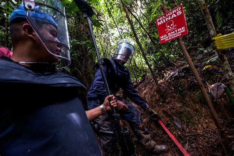 In Colombia Land Mines Are Cleared Inch By Inch The New York Times