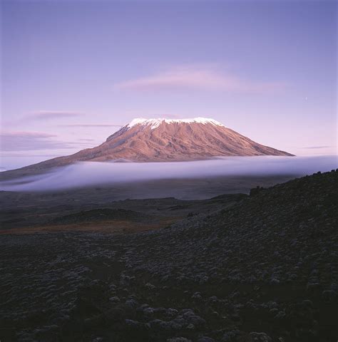 A View Of Snow Capped Mount Kilimanjaro By David Pluth