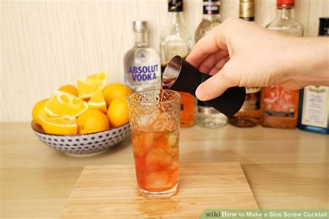 7 ways to make a sloe screw cocktail wikihow life
