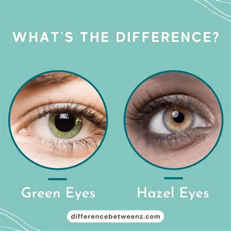 Difference Between Green Eyes And Hazel Eyes Difference Betweenz