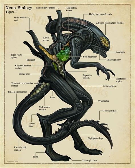 Xenomorph Anatomy Poster Alien Inspired Scientific Wall Art Etsy