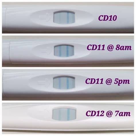 Cycle Day 12 Equate Early Ovulation Test Kit Did I Get A Positive