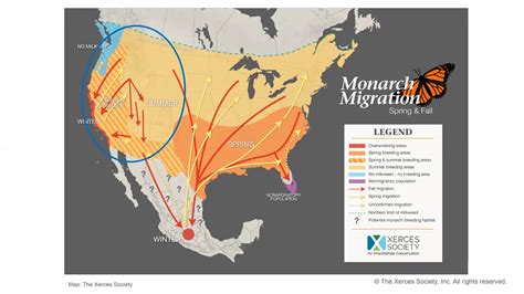 Fall Monarch Migration Map