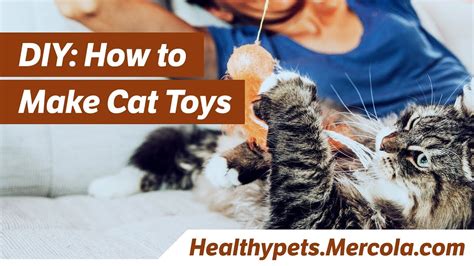 Diy How To Make Cat Toys Youtube
