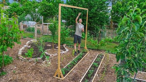 How To Build A Tomato Trellis Using Only One Piece Of Wood Cheap And