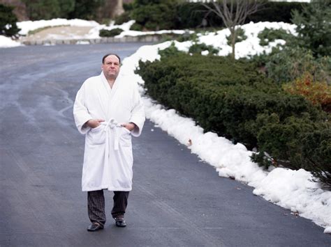 A Guide To Tony Soprano S Many Robes Wired