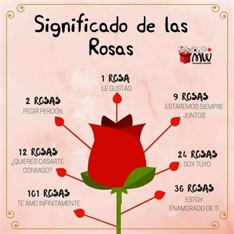 Significado De Las Rosas Significado De La Rosa Idioma De Las Flores