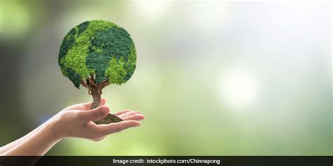 World Environment Day 2020 All You Need To Know News