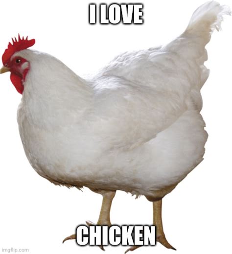 I Love Chicken Imgflip