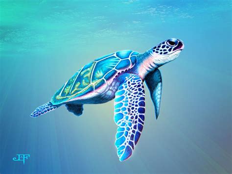 Sea Turtle In 2020 Sea Turtle Art Sea Turtle Painting Turtle Painting