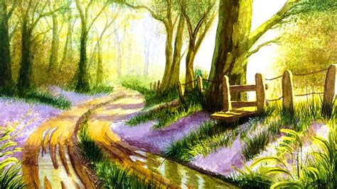 Bluebell Wood Original Watercolour Painting Painting Watercolor