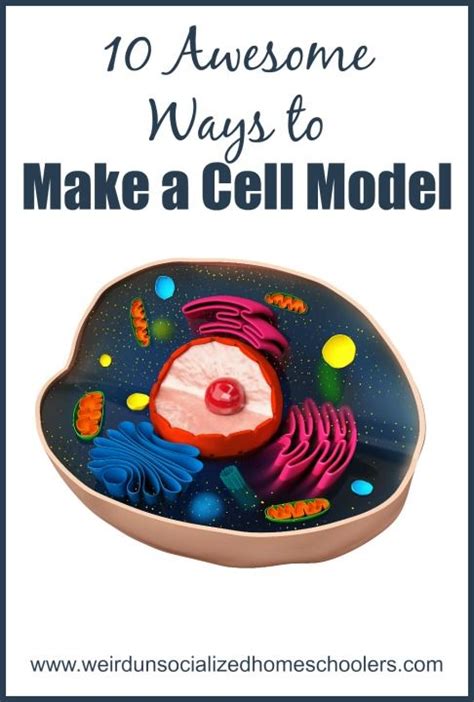 10 Awesome Ways To Make A Cell Model Artofit