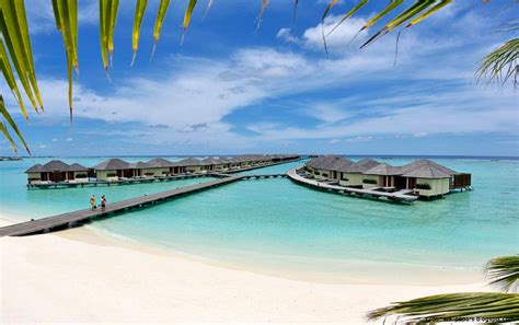 Paradise Island Resort Maldives Images Zoom Wallpapers
