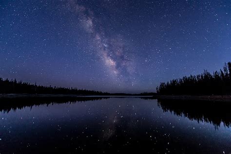 Hd Wallpaper Green Trees Water Reflection Starry Night Stars