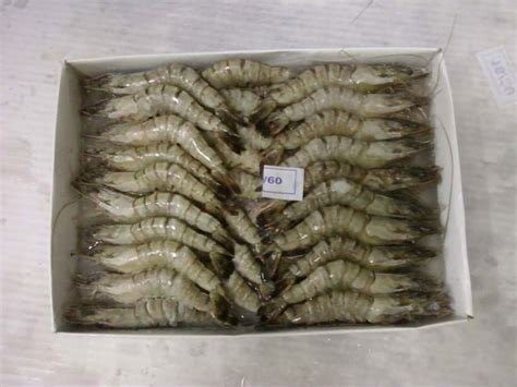 Black Tiger Shrimps Bangladesh Buyer Requirment Price Supplier 21food