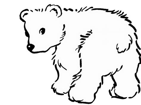 20 Free Printable Polar Bear Coloring Pages