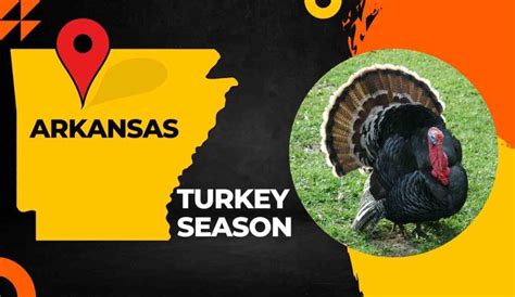 Arkansas Turkey Season 2024 Dates Bag Limits Regulations And Licenses