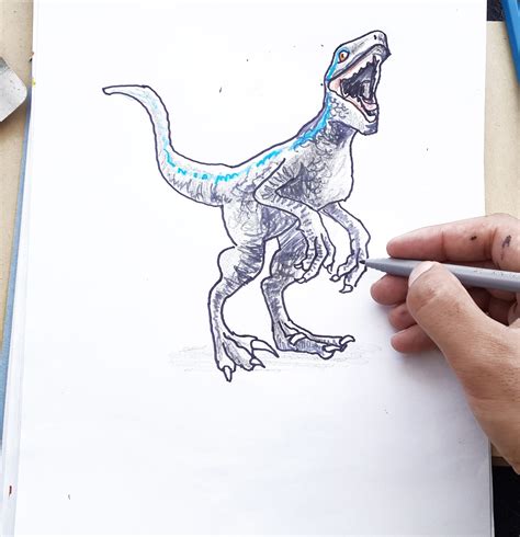 How To Draw Blue The Velociraptor Jurassic World Draw