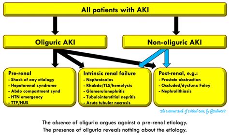 Acute Kidney Injury Emcrit Project