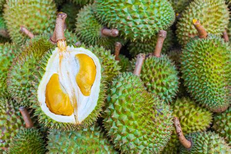 I'm still prefer d24 & ioi and don't forget durian kampung (the best durian ever). 6 Southeast Asian Fruits to Love