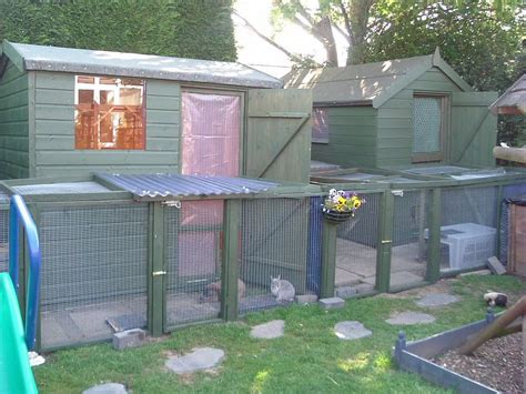 Build Your Own Rabbit Run With This Diy Guide