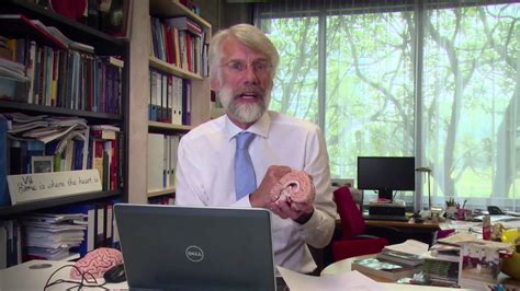 These topic labels come from the works of this. Tip 4 van Erik Scherder - YouTube