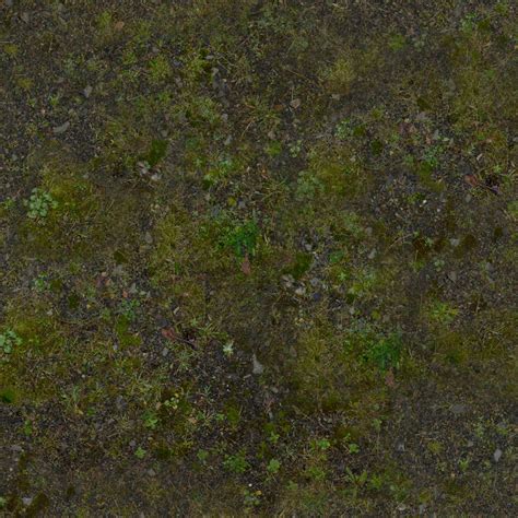 Free Forest Ground Grass PBR Texture in Hi-Res - x3dRoad