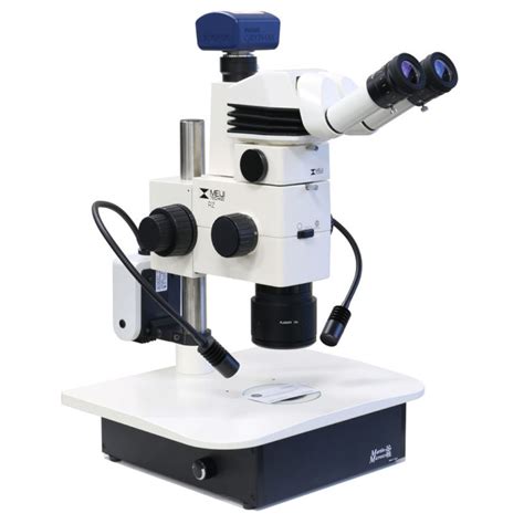 All About Digital Microscopy Martin Microscope