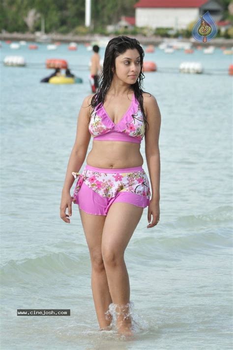 Hot Sexy Actress Pics Payal Ghosh Actress Bikini Image 10530 Hot Sex Picture