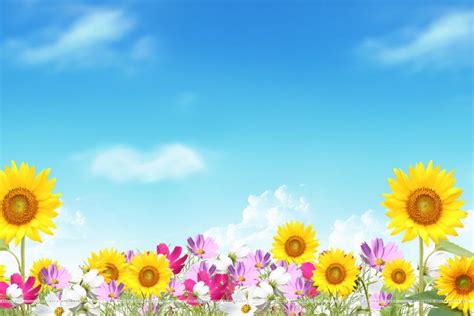 Cool Summer Backgrounds ·① Wallpapertag