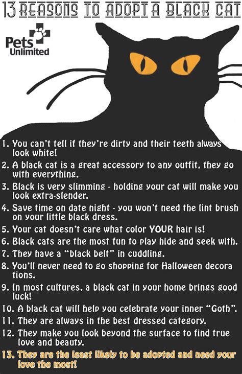 Check spelling or type a new query. Quotes About Black Cats. QuotesGram